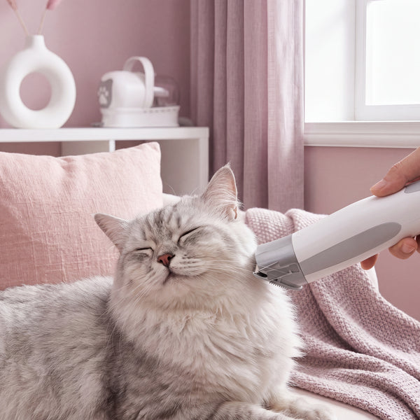 A fluffy, calm cat or small dog being gently groomed with a sleek 7-in-1 Multifunctional Pet Grooming Device in a serene sett
