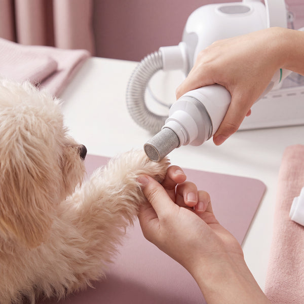 Close-up of a person gently using the nail grinding attachment of a pet grooming device on a small, fluffy dog's paw, illustr