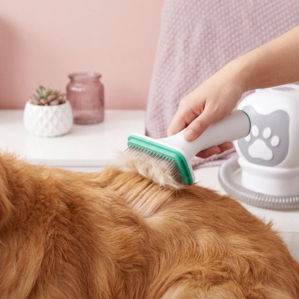 Close-up of a golden retriever being deshedded with the 7-in-1 Pet Grooming Device, showing the deshedding attachment removin